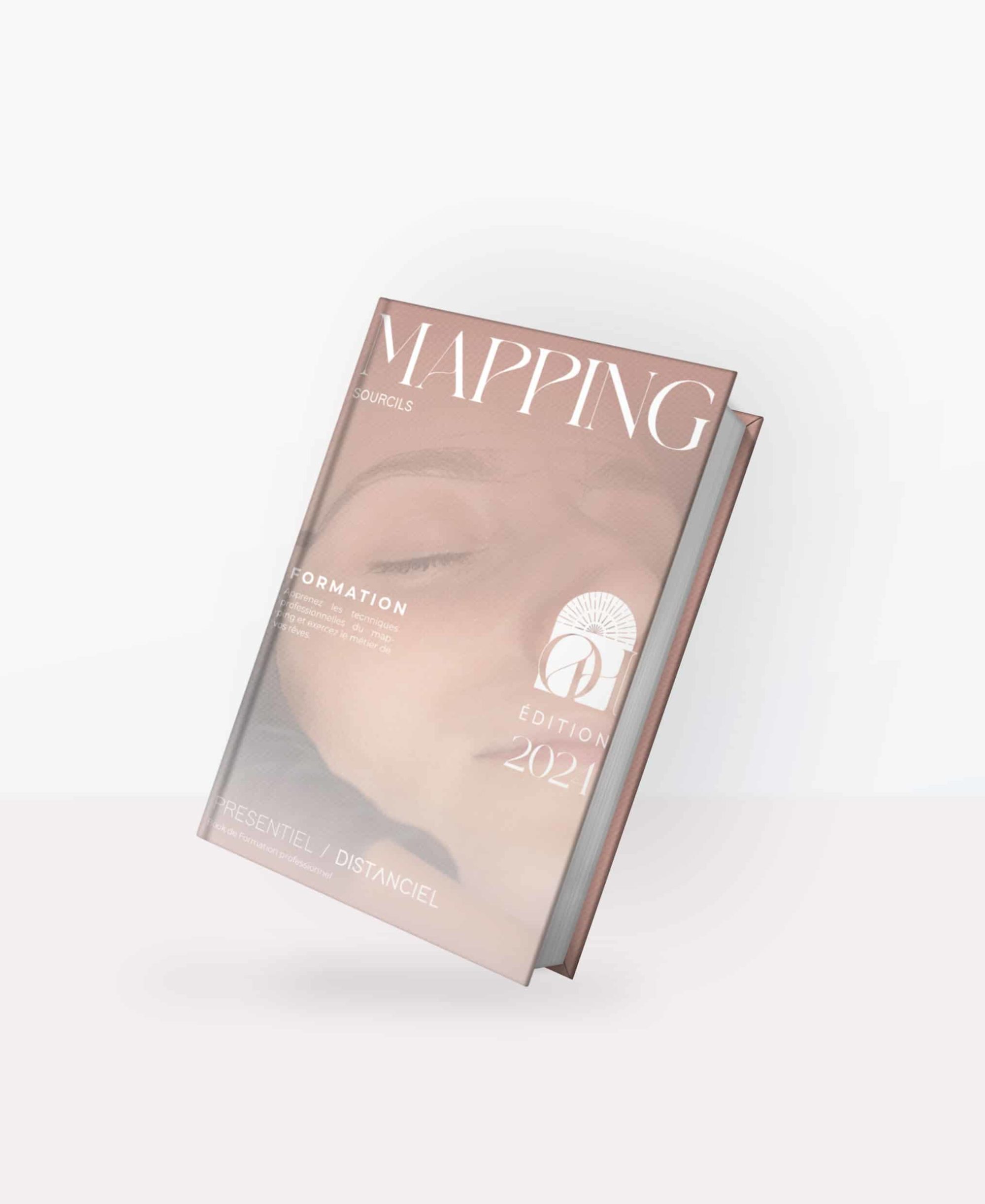 Formation en Ligne Mapping avec Certificat